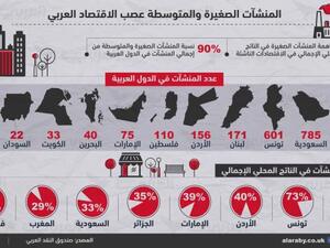 تلعب المنشآت الصغيرة والمتوسطة دوراً بارزاً في تخفيف حدة البطالة في الدول النامية خلال السنوات المقبلة