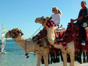 تراجعت عائدات مصر من السياحة بنسب كبيرة خلال العامين الماضيين