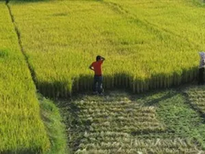يعتبر نقص المياه مشكلة طويلة الأمد لدول الشرق الأوسط