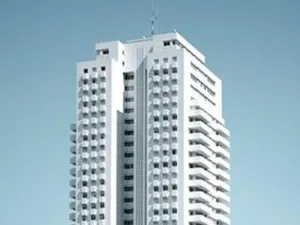 تركز شركات التطوير العقاري على المشاريع العقارية الفاخرة التي تدرّ عائدات مرتفعة وتتسم بسهولة تسويقها وترويجها وبيعها، بينما تضطلع الحكومات بتنفيذ المشاريع العقارية للفئات الأخرى من المجتمع، لتساهم في خفض الفجوة لدى السوق العقارية ودعم توازنه