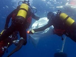 أصبحت سياحة الغوص بالإسكندرية مهددة بالتوقف