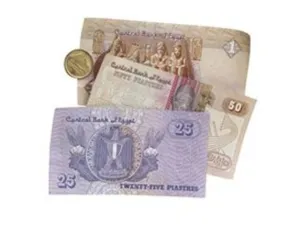 استنزفت البلاد ما يزيد عن 20 مليار دولار من احتياطيات النقد الأجنبي واقترضت مليارات من الخارج وأرجأت سداد مدفوعات لشركات نفطية