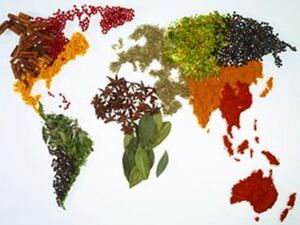 Food and agricultural exports to the UAE from South Africa, including fruit, sugar cane and ostrich meat, increased by about 3.5 percent last year compared with 2010