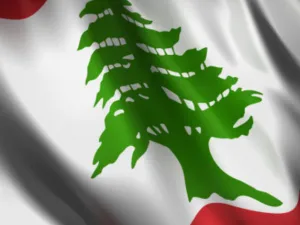 استندت المجلة اللبنانية في تقريرها على مجلة "فوربس" التي تصنف أغنياء العالم إلى أن عائلتي نجيب ميقاتي رئيس حكومة تسيير الأعمال ورفيق الحريري رئيس الوزراء الأسبق اللبنانيتين تمتلكان وحدهما 14 مليار دولار، أي 15% من مجمل الثروات الخاصة في لبنان
