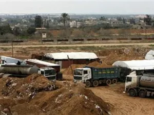 يُشار إلى أن تونس منحت منذ بداية العام و لغاية الآن 52 ترخيصا للتنقيب عن النفط والغاز ،دخل 38 ترخيصا منها مرحلة الإنتاج
