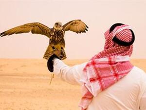 إن التوظيف في قطاع السياحة هو الأعلى بين القطاعات الاقتصادية الأخرى في المملكة