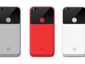 اعتادت شركة غوغل مع هواتف Pixel أن تختار لها أسماء مخلوقات مائية وأسماك