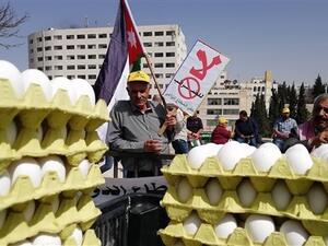 أبقار ودجاج وبيض أمام البرلمان الأردني احتجاجاً على ضرائب الزراعة
