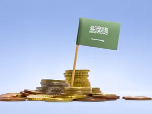 "الرؤية المستقبلية  للسعودية" ستشمل عديدا من البرامج التنموية والاقتصادية والاجتماعية وغيرها من البرامج