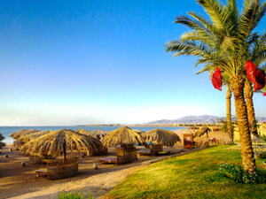 تقول الإحصاءات الرسمية في مصر إن القطاع السياحي يصب على البلاد ما نسبته ١٤.٤٪ من العملة الأجنبية سنوياً، كما أن أكثر من ٤ ملايين مصري يعملون في السياحة تأثروا حالياً بالركود الحالي