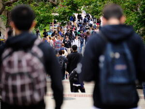 Out of the 52,586 students who attend higher education institutions in Dubai, 22,890 (44 per cent) are studying business