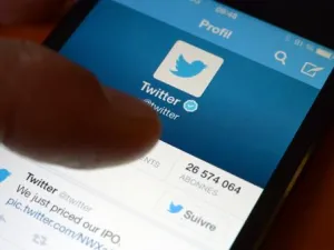 يصل عدد مستخدمي الموقع شهريا في المتوسط إلى 316 مليون مستخدم في حين أن موقع التواصل الاجتماعي الأشهر فيسبوك يخدم نحو 1.4 مليار مستخدم شهريا