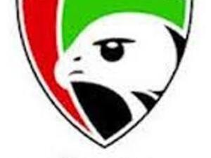 هيئة التأمين 