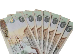 استفاد الموظّفون في الإمارات من زيادة في الرواتب بلغت نسبتها 4,6% عام 2014 أي أقلّ بقليل من النسبة التي كانت متوقّعة أي 5%
