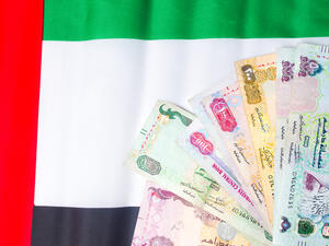 توحيد إجراءات الاستثمار الأجنبي بين إمارات الدولة