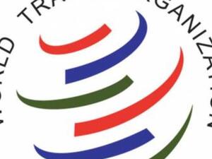 منظمة التجارة العالمية 
