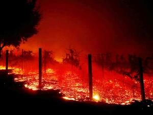 حرائق كاليفورنيا.. 29 قتيلا و228 شخصا في عداد المفقودين