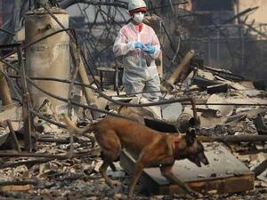 ارتفاع عدد قتلى حرائق كاليفورنيا والمفقودين لأكثر من 1000