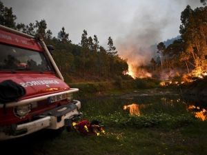 حرائق كاليفورنيا تودي بحياة 40 شخصا على الأقل
