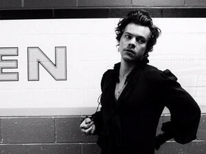 Harry Styles helped a fan come out (Source: hairstyles / Instagram )