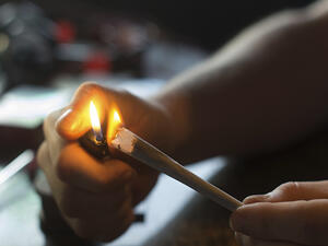 قاضي الحشيش