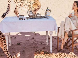 أنجلينا جولي في صحراء ناميبيا على غلاف مجلة  Harper's Bazaar