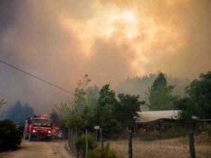 حرائق الغابات تدمر 130 ألف هكتار من الأراضي في تشيلي
