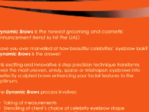 Dynamic Brows brochure 
