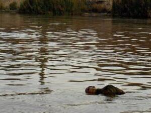 جثث طافية مكبلة الأيدي ومعصوبة العينين بنهر دجلة