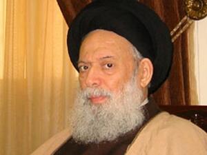 محمد حسين فضل الله