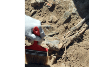 مقبرة جماعية عثر عليها بين مدينتي الموصل وأربيل