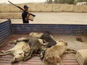 الجيش الاميركي: حاولنا وقف التعذيب في العراق 