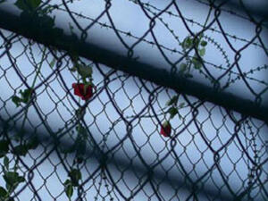 Ali spent three years in prison after being deported to Iraq after lying about his homeland. [blogspot]