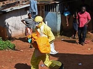 ارتفاع عدد وفيات إيبولا إلى 33 شخصا في جمهورية الكونغو
