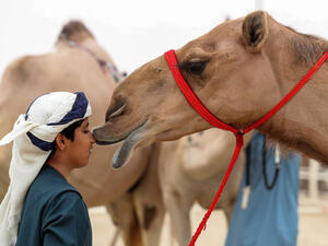 المشتري أحد الأمراء السعوديين التواقين لاقتناء الناقة التي أطلق عليها اسم "الملكية" 