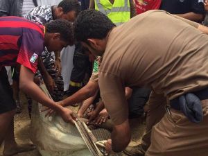 6 حالات وفاة جراء الأمطار والسيول في جازان
