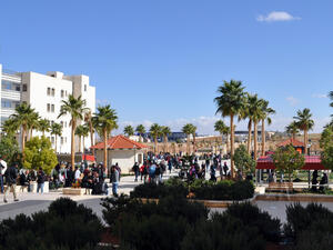 شاب يطلب يد فتاة في جامعة جدارا الاردنية