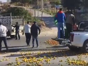 أردنيون يلقون بحمضياتهم في الشارع احتجاجا على تدفق منافساتها السورية