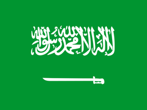 But while the Saudi government doesn’t have its head stuck in the sand, it isn’t clear that it is doing enough to tackle the country’s foreseeable financial problems