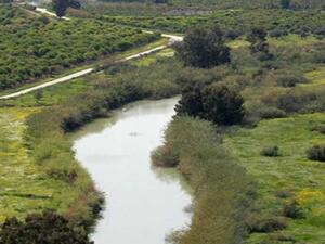  في العام 1994، استعاد الأردن في معاهدة السلام 560 دونمًا من أصل 1390 دونما التي تم احتلالها