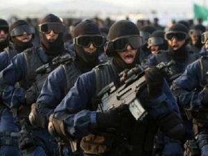 بدء فعاليات تدريب الأسد المتأهب 2016