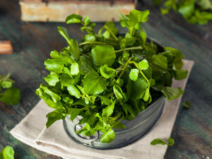 يعتبر ماسك الجرجير من الماسكات المفيدة جداً للشعر