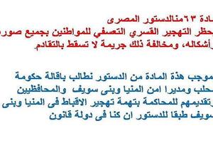 مادة في الدستور المصري