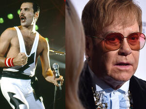 Freddie Announced that he had AIDS the day before he died on November 24, 1991(Source: Shutterstock ) 