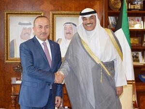 الوزيران بحثا قضايا إقليمية ودولية ذات اهتمام مشترك