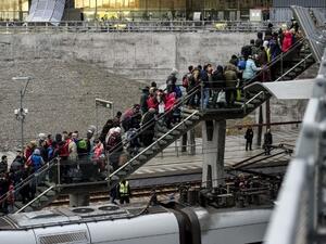 السويد تطرد 80 ألف طالب لجوء رفضت معاملاتهم