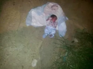 العثور على جثة لقيط ملفوف بقطعة قماش تحت نخله