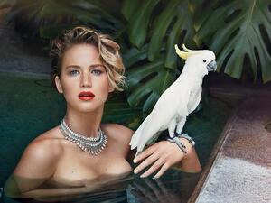 الممثلة العالمية جينيفر لورانس