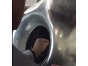 يظهر المقطع لحام إطار الحجر المتميز باللون الفضي اللامع 