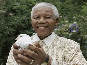 لو كان مانديلا أردني